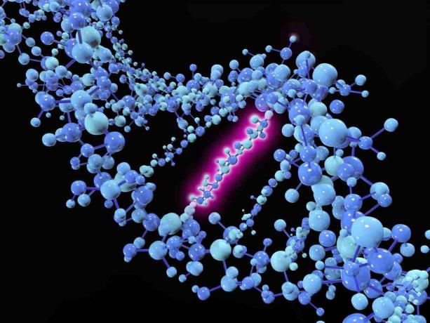 एक बिंदु उत्परिवर्तन एक आनुवंशिक उत्परिवर्तन है जहां डीएनए या आरएनए के एक अनुक्रम से एक एकल न्यूक्लियोटाइड आधार को बदल दिया जाता है, डाला जाता है या हटा दिया जाता है।