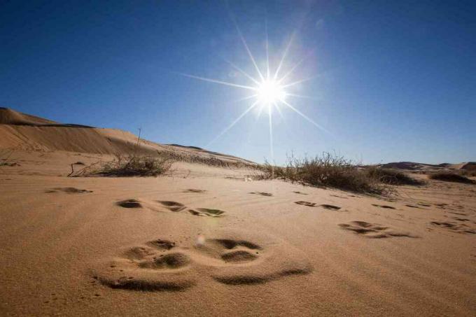 ब्लू स्काई और ब्राइट सन के खिलाफ सैंड ड्यून्स