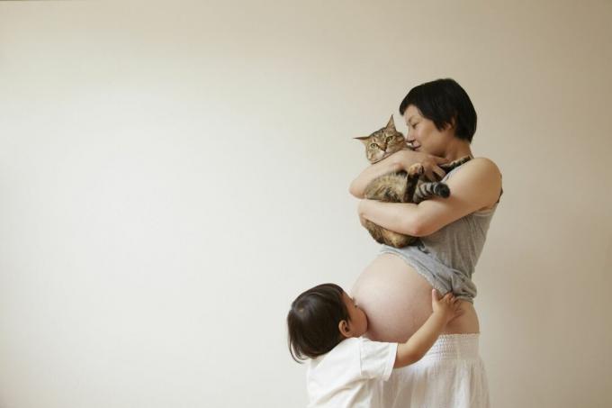 बिल्ली के साथ एक गर्भवती महिला