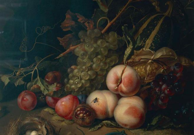 इटली, फ्लोरेंस, बोर्ड के लिए COMP की सेव, राहेल Ruysch, 1711, फल और कीड़े के साथ जीवन, कैनवास पर तेल, विस्तार से