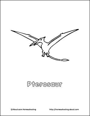 Pterosaurs: फ्लाइंग सरीसृप